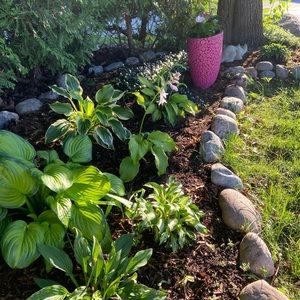 Meet your Posher, Jill